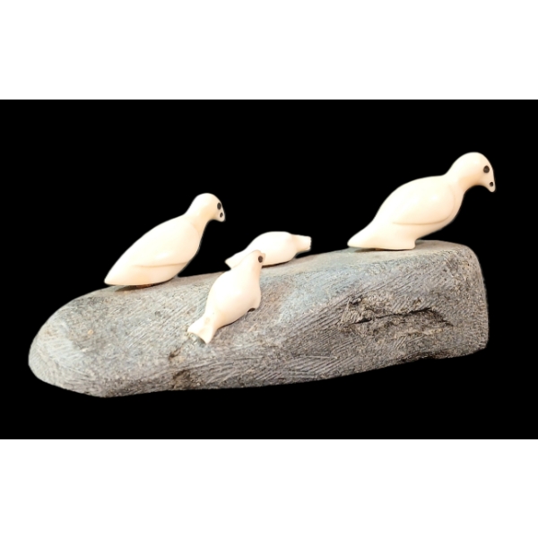 SUNNING BIRDS & SEAL PUPS BY UNKNOWN ARTIST - BONE & STONE