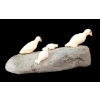 Image 1 : SUNNING BIRDS & SEAL PUPS BY UNKNOWN ARTIST - BONE & STONE