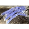 LOT OF 7 - VINYL TUBING