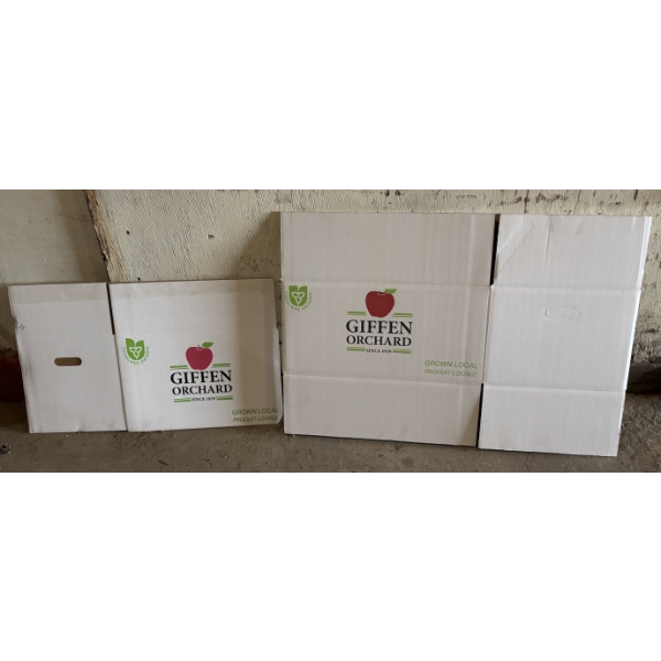 JOB LOT - 5 SKIDS OF BOXES & DIVIDERS