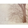 Image 2 : "FROST TIME" BY J.D. MILLER - FRAMED PRINT