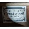Image 6 : CRESTWOOD ELECTRIC ACOUSTIC GUITAR