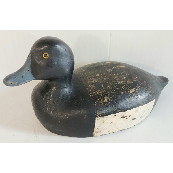BLUEBILLED DECOY DUCK