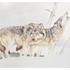 Image 2 : "TIMBER WOLVES" BY MARTIN GLEN LOATES (PRS CDN ARTIST) - FRAMED WATERCOLOUR & INK