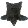 Image 2 : BLACK BEAR SKIN RUG