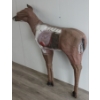 Image 4 : ARCHER'S CHOICE DEER TARGET