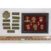 Image 1 : LOT OF 11 - FRAMED WWI BRITISH HAT BADGES & CDN SHOULDER TITLES