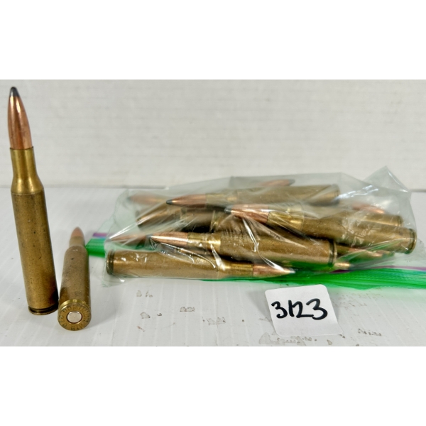 AMMO: 17X .270 WIN - SP RELOADS
