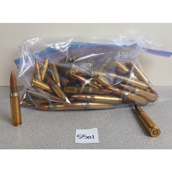 AMMO: 81X MIXED .308 WIN 