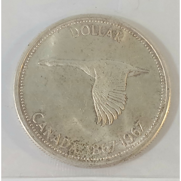 1967 CDN SILVER DOLLAR - CCCS GRADED