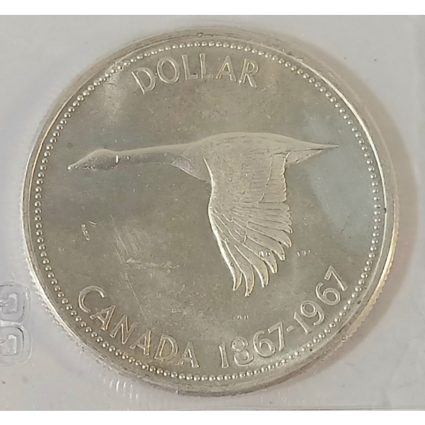 1967 CDN SILVER DOLLAR - CCCS GRADED