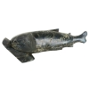 Image 1 : FISH - SIGNED - STONE