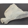 Image 3 : SEA CREATURE - SIGNED - BONE