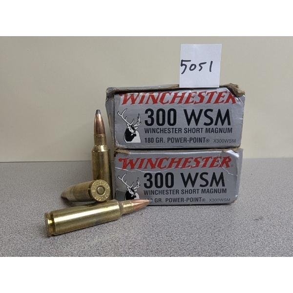 AMMO: 27X WINCHESTER .300 WSM - 180GR POWER-POINT