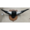 Image 2 : LOT OF 3 - MOUNTED BULL HORNS & VIKING HELMET