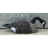 Image 5 : JOB LOT - CANADIAN GEESE DECOYS W/ HEADS & STAKES, ETC.