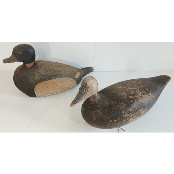 LOT OF 2 - GOLDEN EYED DECOY DUCKS