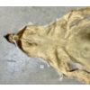 Image 6 : CINAMMON COYOTE FUR PELT