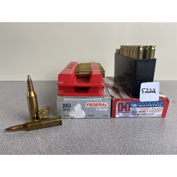 AMMO: 33X MIXED FEDERAL AND HORNADY .243 WIN 