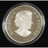 Image 3 : RCM 2017 $20 SILVER COIN - A PLATINUM CELEBRATION