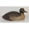 Image 3 : GOLDEN EYED DRAKE DECOY