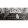 Image 1 : HAVAHART LIVE TRAP - 32IN