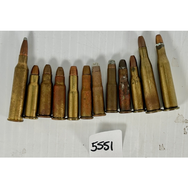AMMO: 12X WINCHESTER SMALL RIFLE CARTRIDGES