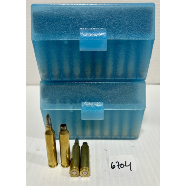 AMMO / BRASS: 115X LIVE & 70X BRASS .19-223 CALHOON