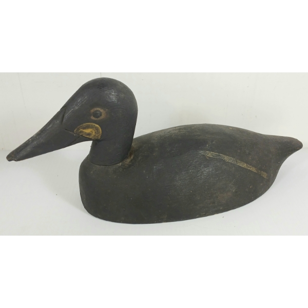 EIDER DECOY DUCK BY HAMILTON