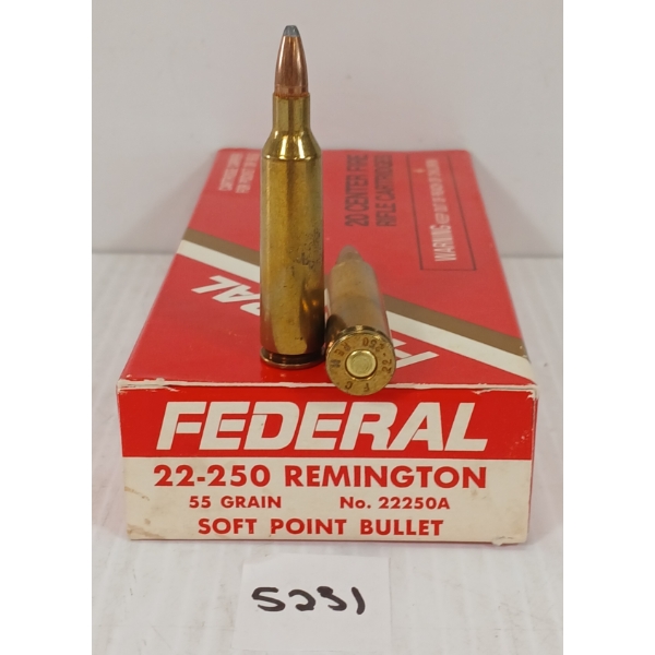AMMO: 20X FEDERAL .22-250 REM - 55GR - SP