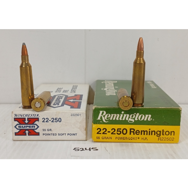 AMMO: 40X REMINGTON & W-W SUPER X .22-250 REM - 55GR - HP & PSP