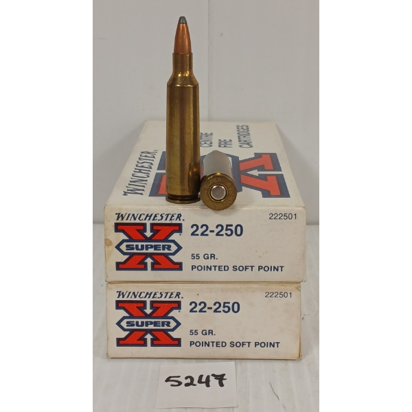 AMMO: 40X W-W SUPER X .22-250 REM - 55GR - PSP