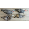 Image 2 : LOT OF 4 - PRIMOS TURKEY DECOYS 