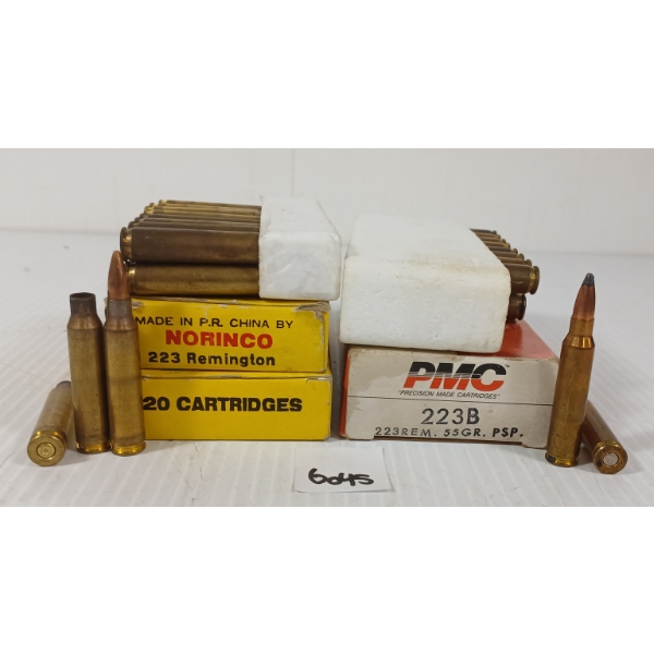 AMMO: 60X NORINCO & PMC .223 REM - 55GR - PSP