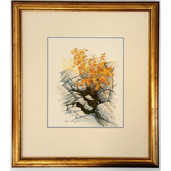 FALL TREE BY SUSAN A. MENZIES - FRAMED WATERCOLOUR ON PAPER