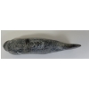 Image 6 : FISH - SIGNED - STONE
