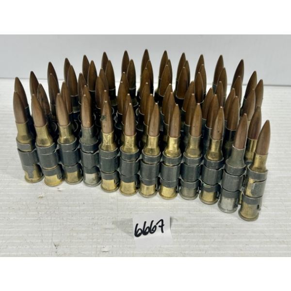 DUMMIES: 65X 7.62X54 R DUMMIES ON LINKS