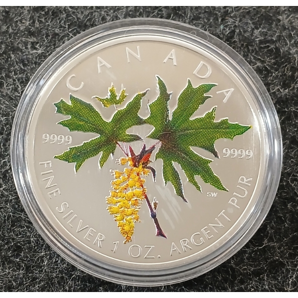 2005 RCM $5 FINE SILVER COLOURED COIN - MAPLE LEAF 