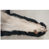 Image 7 : TIMBER WOLF SKIN RUG