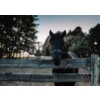 Image 1 : WELCOME BIDDERS—GET READY FOR SOME STURDY TOOLS AND HARDY EQUIPMENT, AND WE’RE NOT HORSING AROUND!