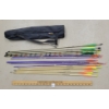 Image 1 : SMALL QTY OF ARROWS W/ CASE - INCL EASTON