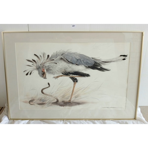 "SECRETARY BIRD" - SIGNED - FRAMED WATERCOLOUR ON PAPER