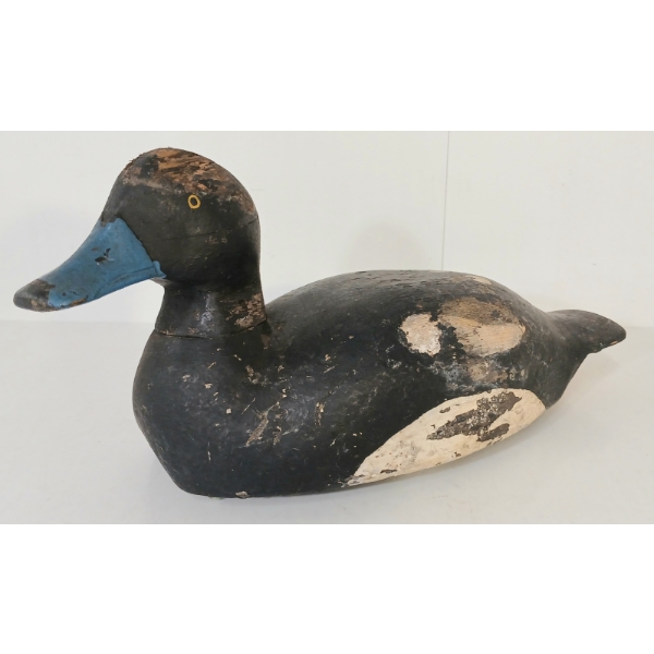 BLUEBILLED DECOY DUCK - SIGNED W.N.(?)