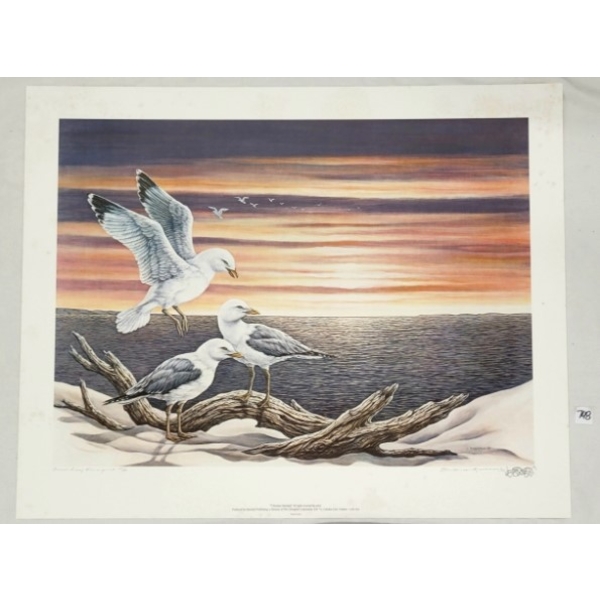 "SUMMER EVENING - SEAGULLS" BY CHRISTINE MARSHALL (PRS CDN ARTIST) - PRINT