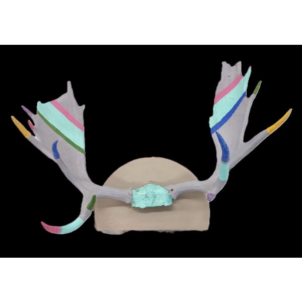 HAND PAINTED MOUNTED MOOSE ANTLER RACK