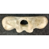 Image 8 : PELVIS - GAME BONE