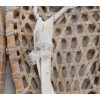 Image 5 : PAIR OF FABER SNOWSHOES 