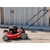 Image 1 : MTD BRIGGS & STRATTON GAS POWERED LAWN MOWER
