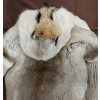 Image 7 : CARIBOU SKIN SNOW SUIT