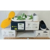 Image 3 : LOT OF 4 - BIION SHOES - FT THE BRIGHTS, THE CLASSICS, THE TRAINERS & DC STYLES